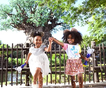 Discovery Island®